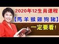 麥玲玲2020鼠年十二生肖運程提前看（下）！特別是【屬馬 羊 猴 雞 狗 豬】的人 - 十二生肖