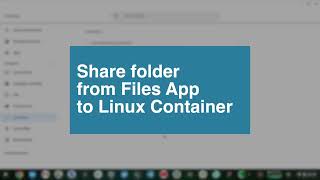 How to share share files between Chromebook Files App and linux container