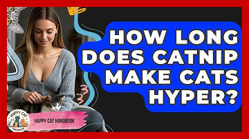 How Long Does Catnip Make Cats Hyper? - Happy Cat Handbook