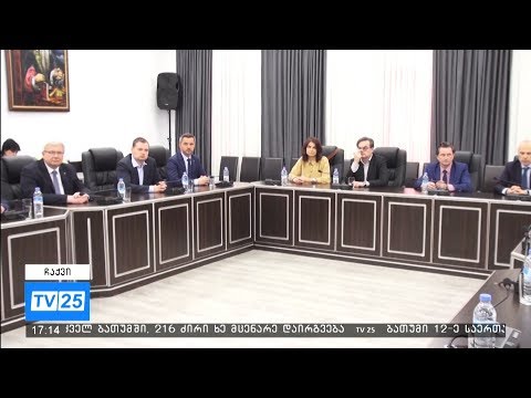 უმაღლესი საბჭოს თავმდჯომარე ქვემო სილეზიის დელეგაციის წევრებს შეხვდა