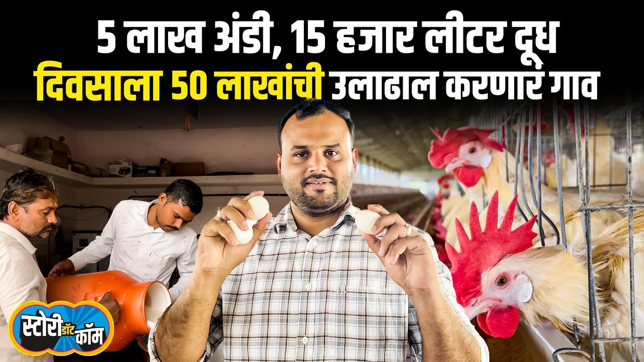 गावातून दिवसाला ५ लाख अंडी, १५ हजार लीटर दुधाची विक्री, दिवसाला ५० लाखांचा टर्नओव्हर करणारं गाव