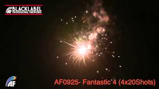 Fantastic Four by Absolute Firework from Firework Crazy