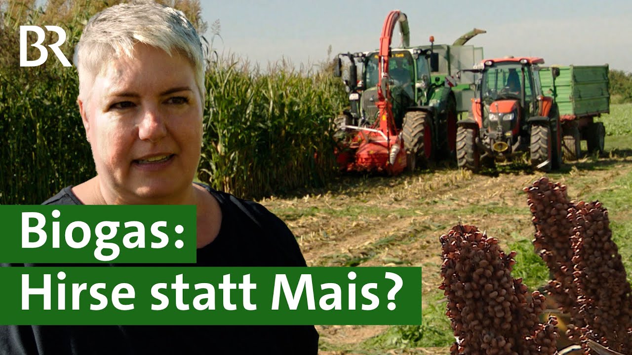 Realer Irrsinn: Zu viel Biogas in Franken | extra 3 | NDR