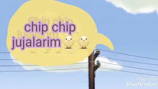 Chip chip jujalarim😂