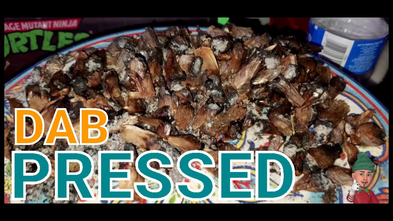 DAB Pressing Marijuana ROACHES 🪳🪳🪳🪳🪳 ( TV420 ) 📺