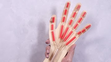 6 FUN STEM Activities