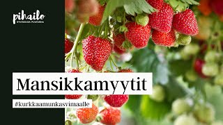 Mansikkamyytit