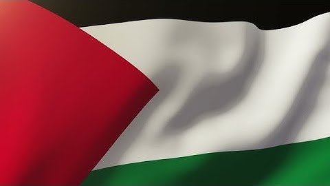 Palestine Flag Waving In The Wind. Looping Sun Rises Style. Animation Loop Stock Animation
