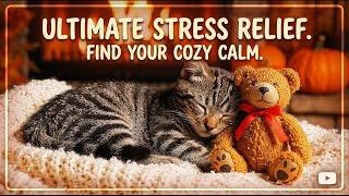 Sleep Therapy Music for Cats | Calm Piano Sounds for Stress Relief and Better Rest