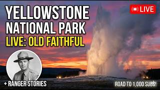 LIVE: Yellowstone:  Old Faithful -  Upper Geyser Basin - NPS Ranger Stories