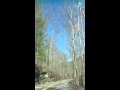 Red river gorge with King gravey