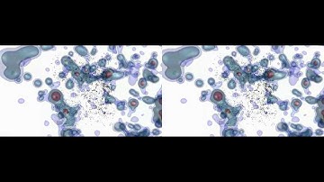 Cosmography of the Local Universe (Stereo3D version)