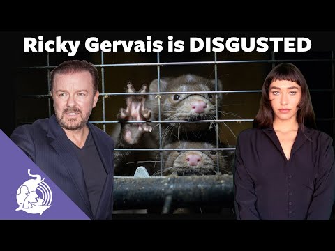 Why Ricky Gervais is DISGUSTED | Fashions SICK secret