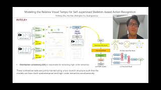 Celebrity Modeling the Relative Visual Tempo for Self-supervised Skeleton-based Action Recognition Profile