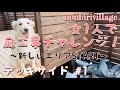 【デッキサイド#1】女1人で庭作りチャレンジ/ド素人DIY