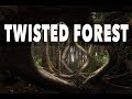 THE TWISTED FOREST /Processing with Intent