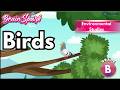 Birds | EVS Grade B | Chapter 17 | IP Study