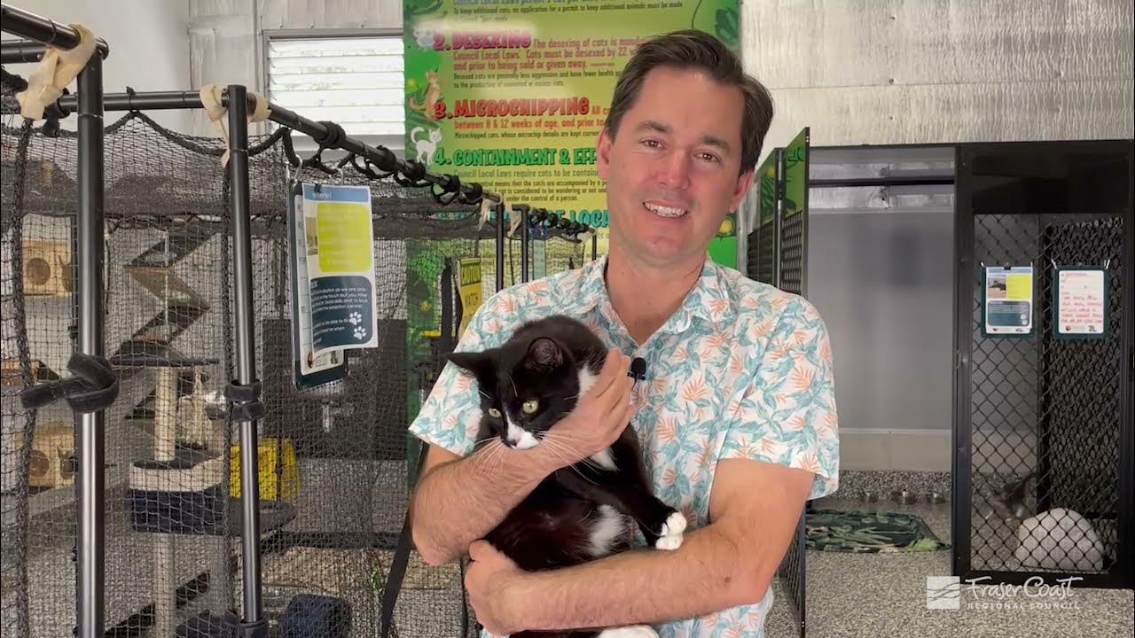 Fraser Coast Adoption Centre YouTube Fraser Coast Adoption Centre YouTube