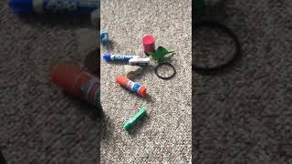 Probability Experiment: Step 1