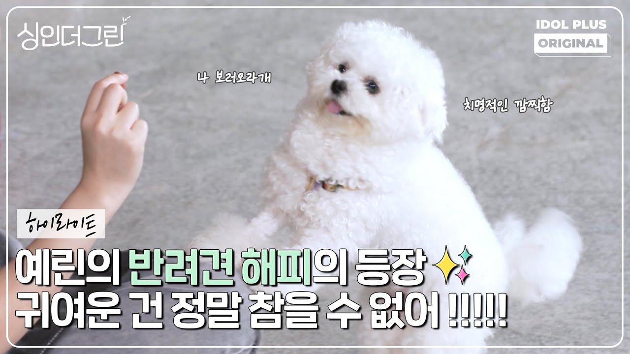 (ENG) 방송 좀 할 줄 아는 해피 (?) I 싱인더그린 EP.06 하이라이트 I Sing in the Green