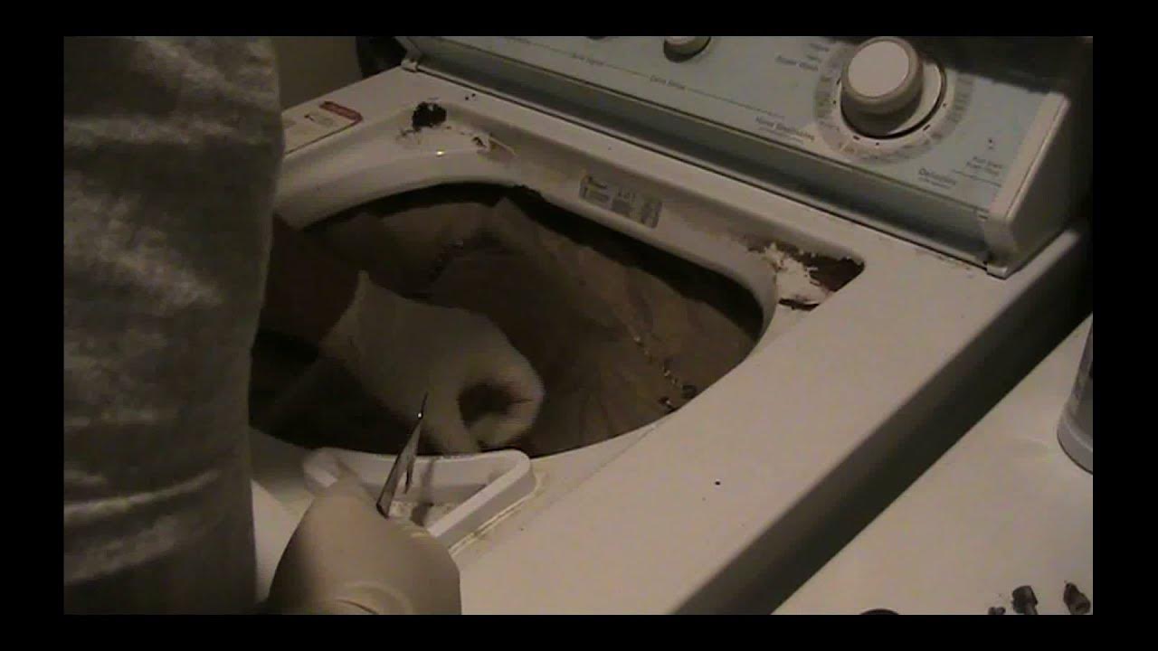 How to remove washer Washing machine Rust. Quick Easy DIY Fix by