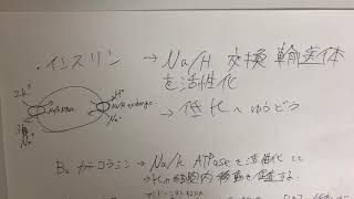 カリウム と 細胞内外に影響する要素 医療