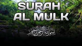 Surah Al-Mulk | A Surah That Embraces Your Night (سورة تحتضن ليلتك)