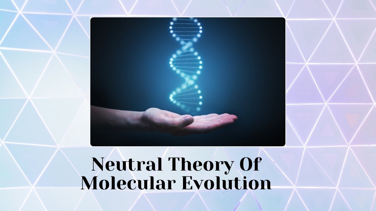 Neutral Theory of Molecular Evolution YouTube