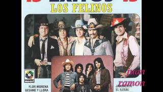 Video thumbnail of "LOS FELINOS    " De Puntitas ""