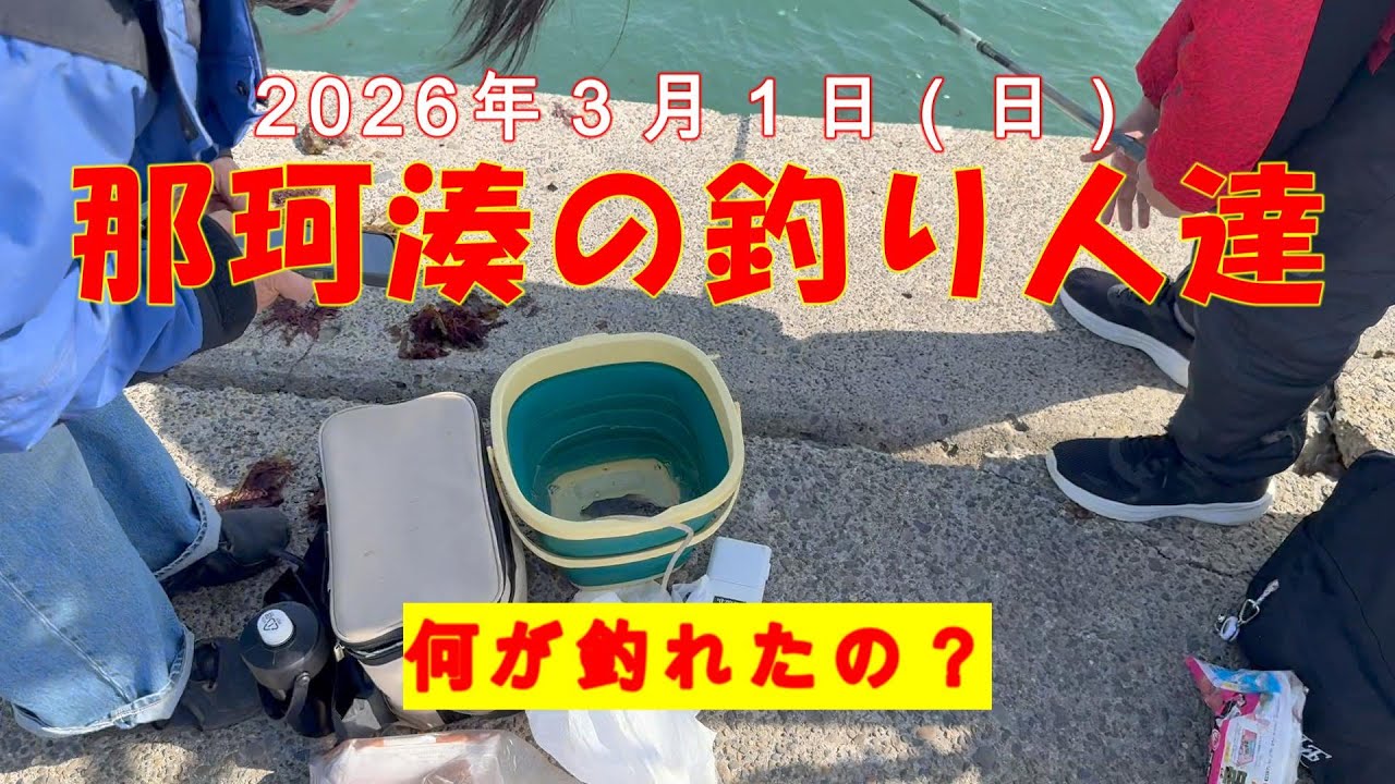 那珂湊で黒メバルが釣れたの？＠2026年3月1日(日)おっさん目線で語ってみる