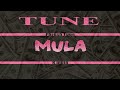 🎵 Tune Mula – Omarion - Love &amp; Other Drugs (Lite Feet Remix)