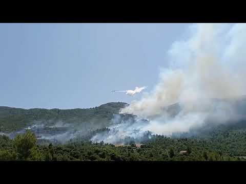 ΦΩΤΙΑ ΔΡΟΣΙΑ 28.07.2021