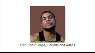Free Vocal Sample Pack - Choir Sounds, Adlibs and Plucks