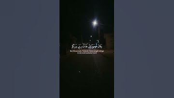 لنتمشى ونستمع 🎧🚶‍♂️… اكتب شيء تؤجر عليه…‏‎#اكسبلور  #tree #قرآن #street #سورة_غافر #خالد_الجليل