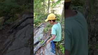 The Bear Trail (Sweden) 1