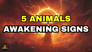 Chosen One: 5 Animals in Your Spiritual Awakening (Don’t Ignore Them!)