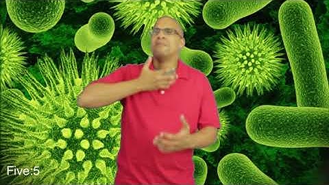 ASL 1-10 Story: Sick Day