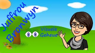Persepsie: Visuele Geheue