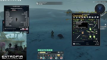 Entropia Universe Weapon Damage amplifiers