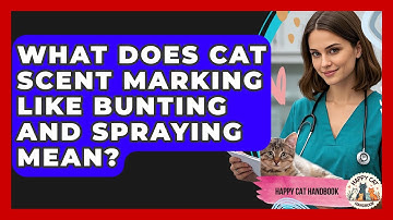 What Does Cat Scent Marking Like Bunting And Spraying Mean? - Happy Cat Handbook