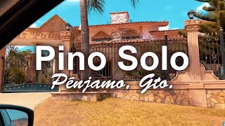 Rancho mexicano “Pino Solo” parece Beverly Hills 😱