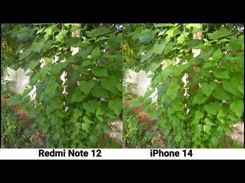 Redmi Note 12 Explorer VS iPhone 14 Camera Test