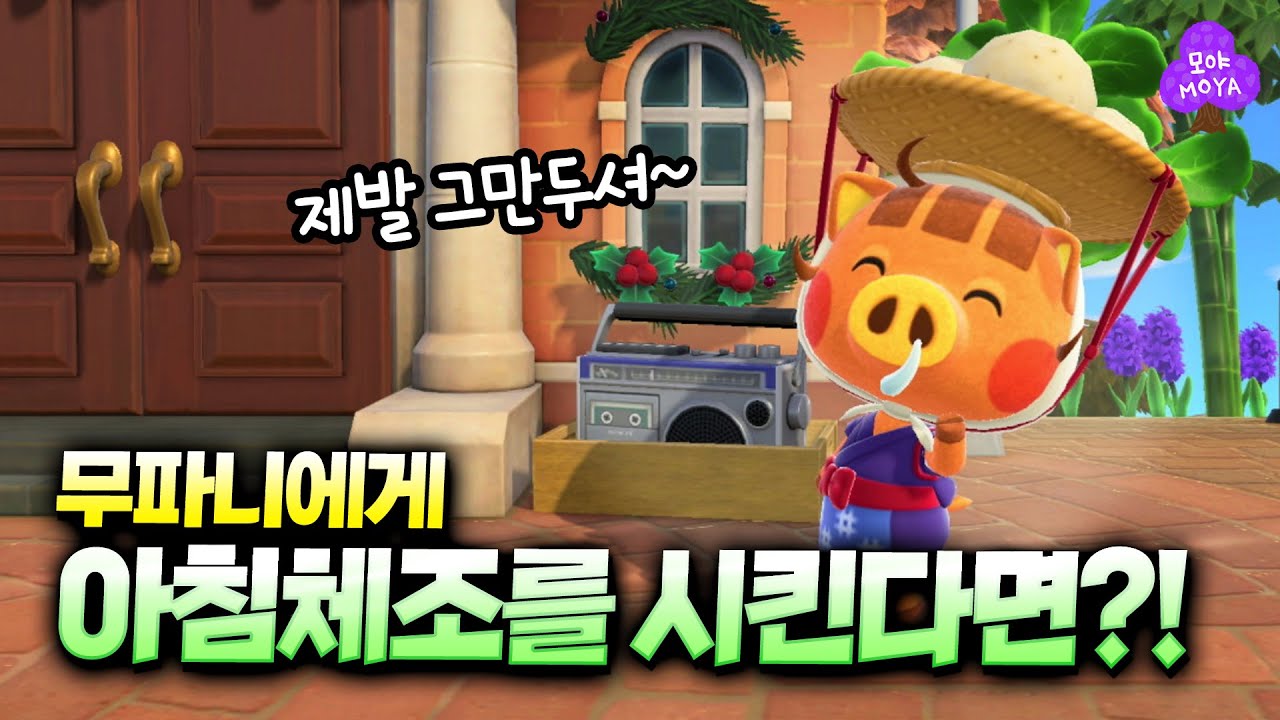 모동숲 귀여움 1대장 무파니... 무파니를 체조로 괴롭혀봤더니... - YouTube 모동숲 귀여움 1대장 무파니... 무파니를 체조로 괴롭혀봤더니... - Youtube