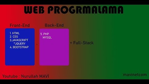 FULL STACK WEB PROGRAMLAMA &&  İNPUT TAGI 5 || DERS 1.24