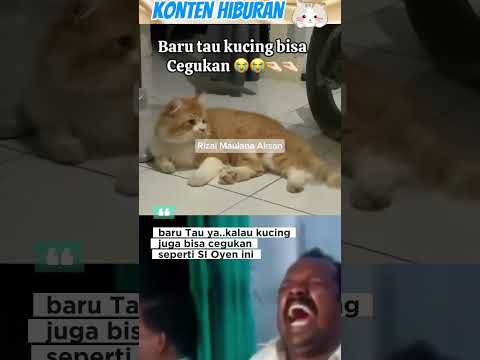 فواق أوين مضحك فيديو قصير
