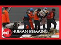Sriwijaya Air SJ182: Rescue Boat Returns to Jakarta with Human Remains