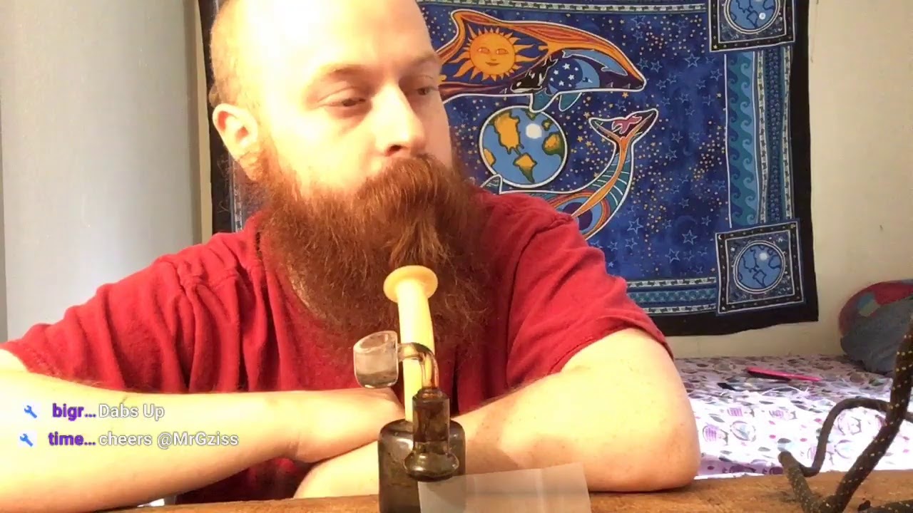 Trophy Wife Shatter Review 