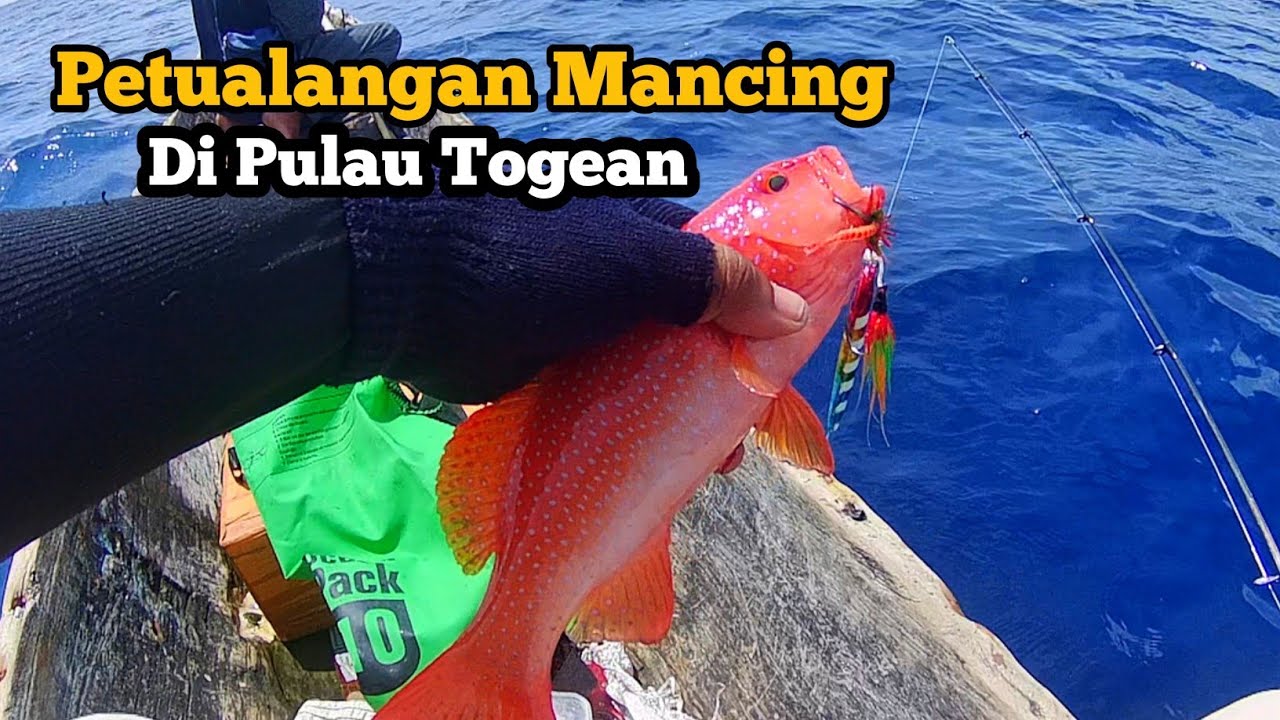 PETUALANGAN MANCING DI PULAU TOGEAN ‼️SPOT TERSEMBUNYI YANG Belum Banyak Diketahui.