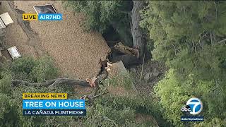 Large tree branch falls on home in La Cañada Flintridge, slices portion of roof