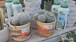 :    .   #plants #todaytop #top #garden #home # #